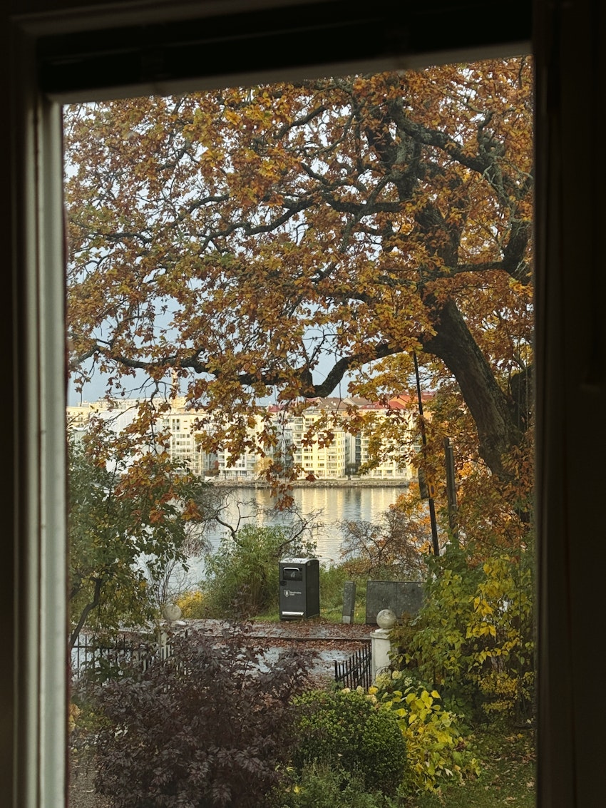 Ny halsduk, gul promenad och en fräck cykelhjälm, foto #1 av Flora Wiström