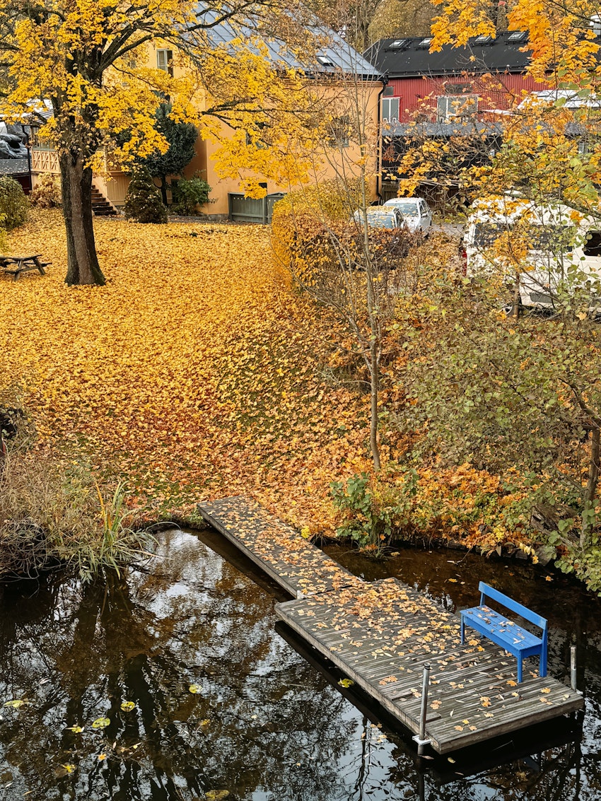 Ny halsduk, gul promenad och en fräck cykelhjälm, foto #7 av Flora Wiström