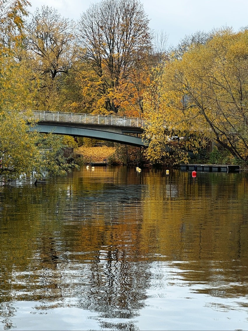Ny halsduk, gul promenad och en fräck cykelhjälm, foto #6 av Flora Wiström