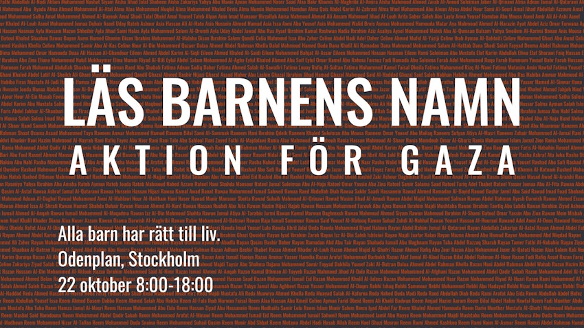 Ruttet måndagshumör och aktion för Gaza, foto #3 av Flora Wiström