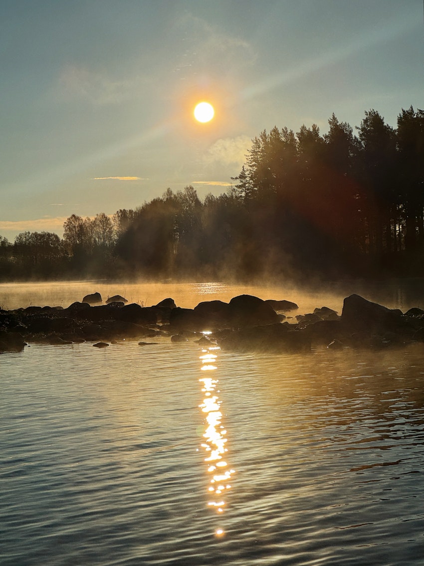 9 höstiga rutor från de senaste dagarna, foto #5 av Flora Wiström