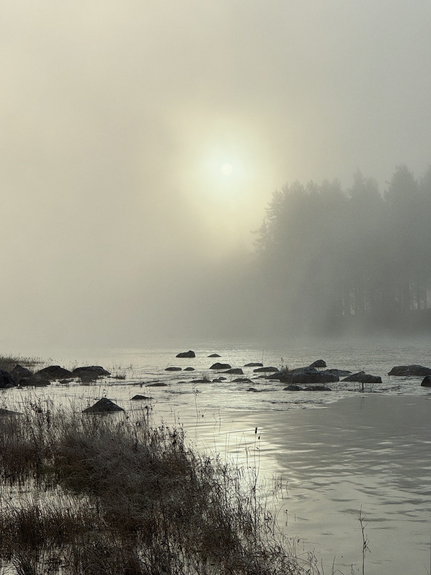 Oktober, foto #6 av Flora Wiström