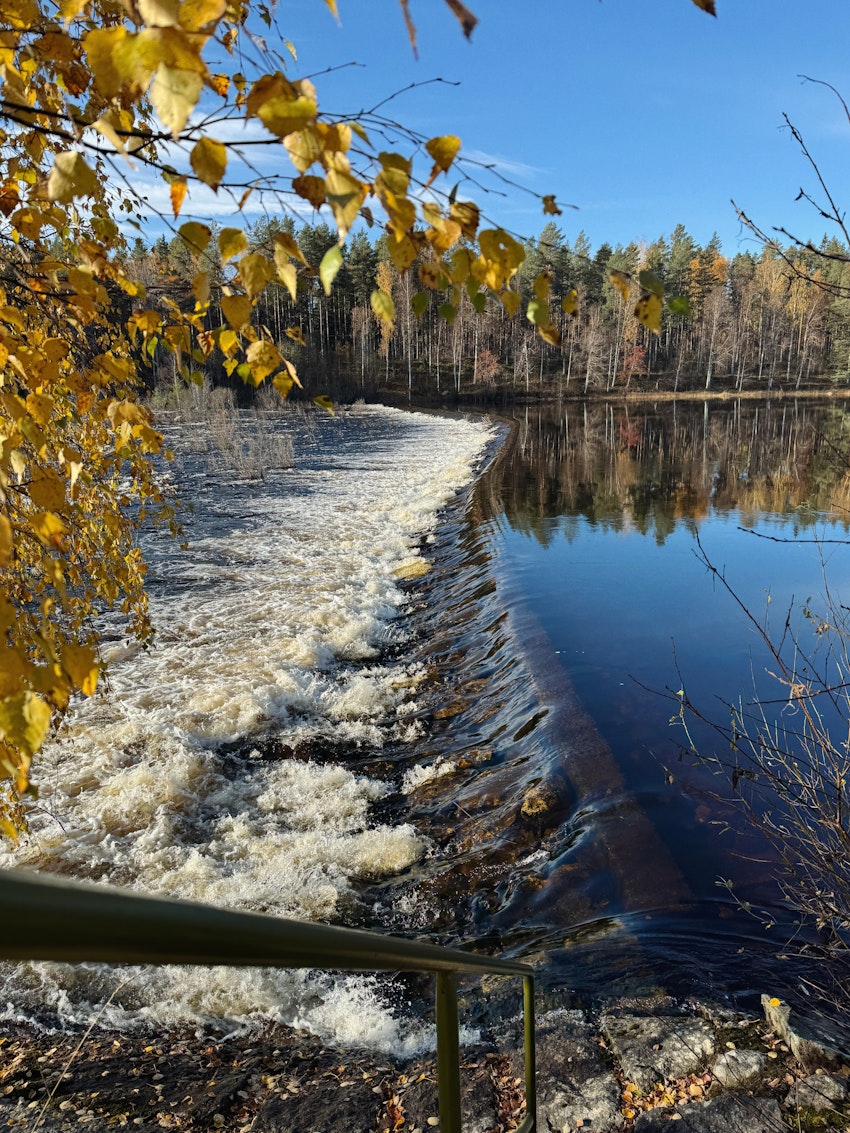 Oktober, foto #7 av Flora Wiström