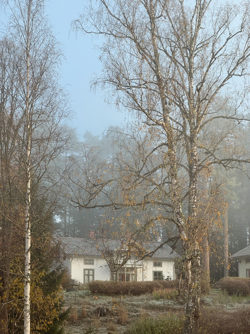 Oktober, foto #8 av Flora Wiström