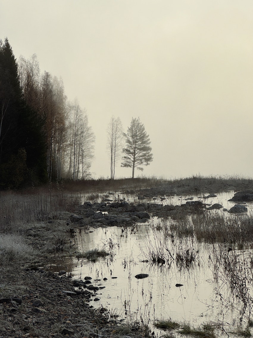 Oktober, foto #5 av Flora Wiström