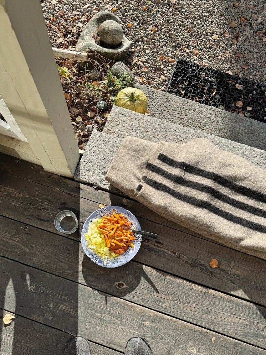 9 höstiga rutor från de senaste dagarna, foto #8 av Flora Wiström