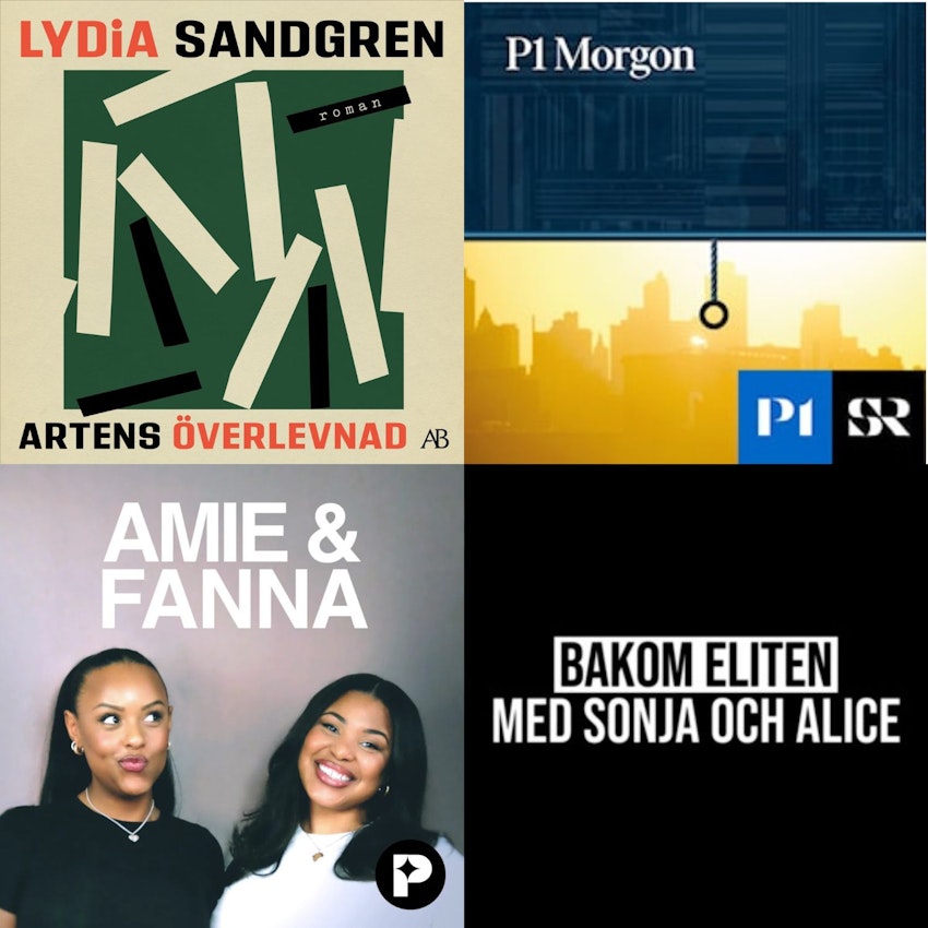 Allt jag lyssnade på förra veckan, foto #2 av Flora Wiström