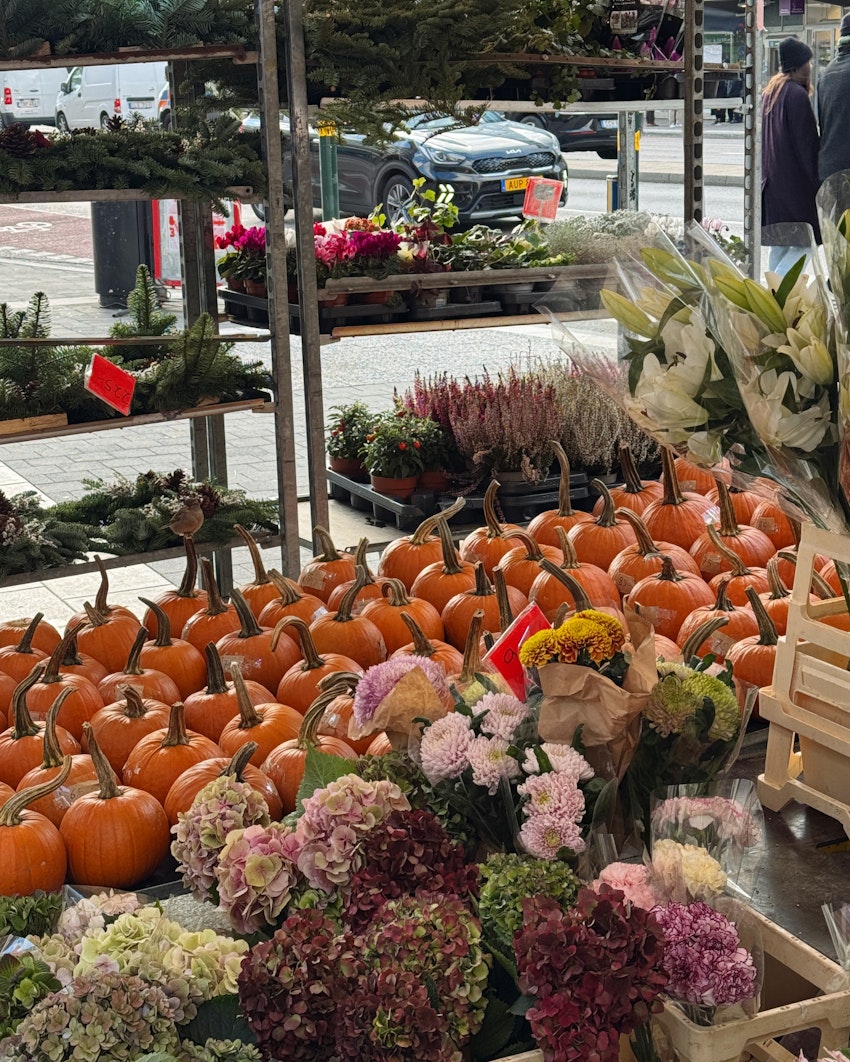 Julkänsla i oktober? + tips på bra fuktmask, foto #8 av Flora Wiström