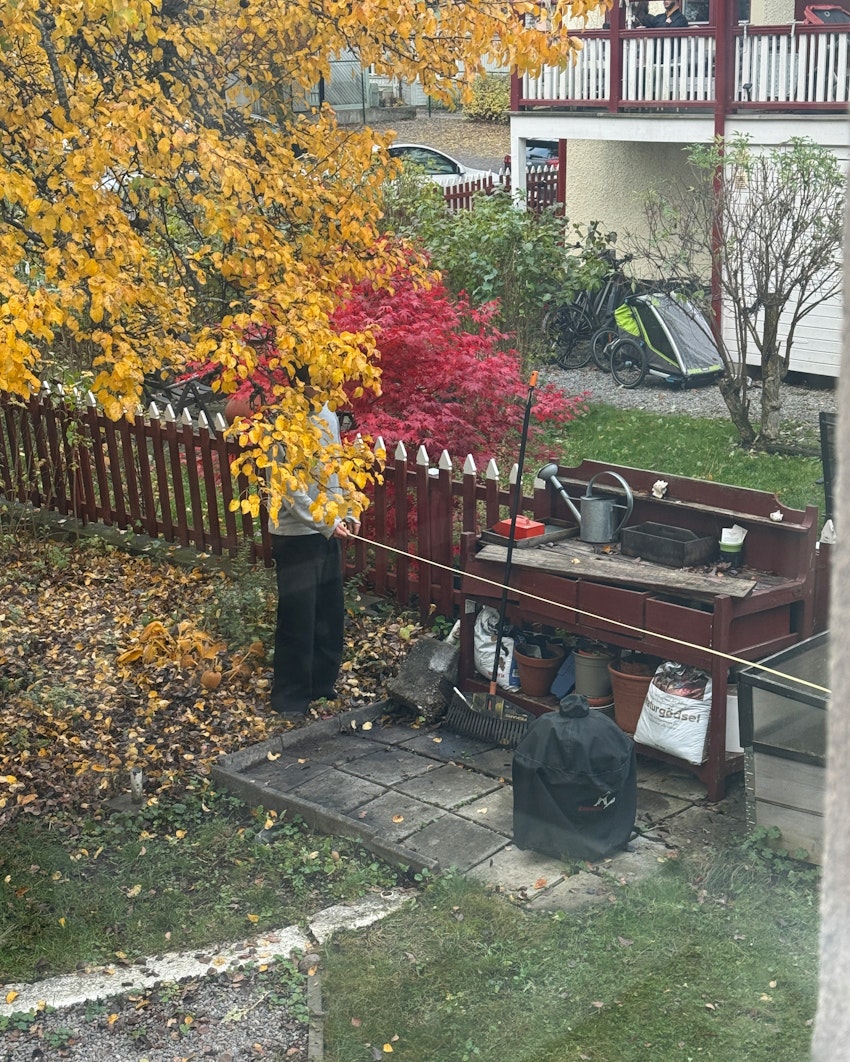 Överraskningfest, trädgårdsfix och söndagsmiddag, foto #10 av Flora Wiström