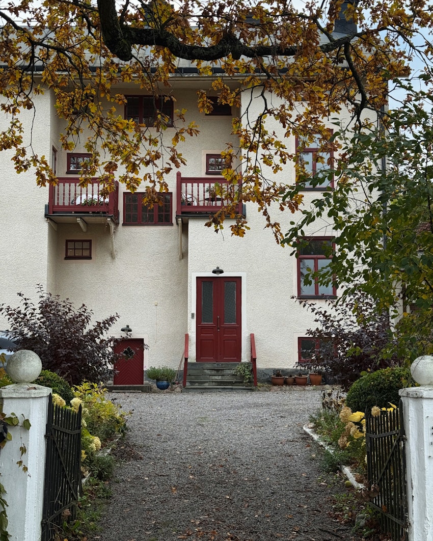 Överraskningfest, trädgårdsfix och söndagsmiddag, foto #8 av Flora Wiström