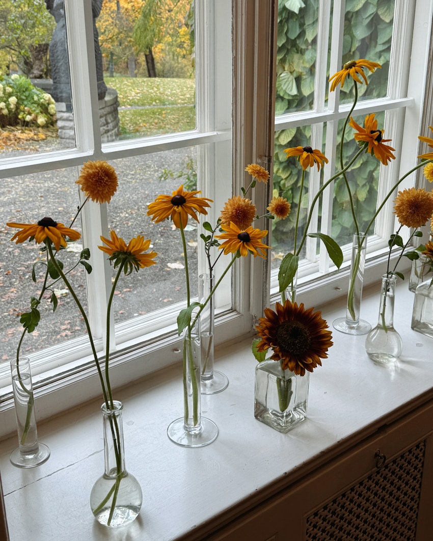 Fredagskänsla, lördagsmys, foto #13 av Flora Wiström