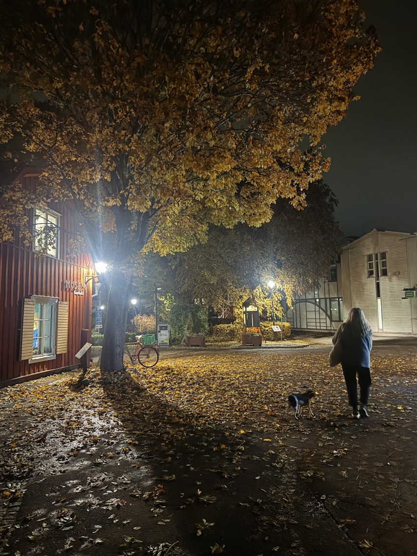 På skrivresa, foto #4 av Flora Wiström