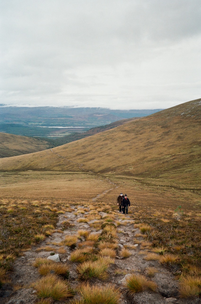 Graviddagbok: vecka 7, 8 och 9, foto #6 av Flora Wiström