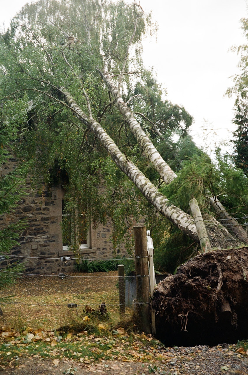 Åtta svenskar på maskerad i Skottland, foto #11 av Flora Wiström