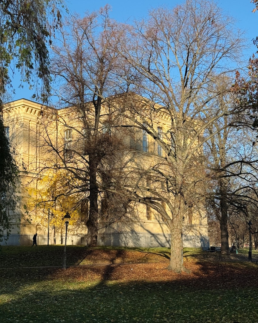 Julfrukost, klubb Marulk och ny kroppsform, foto #3 av Flora Wiström