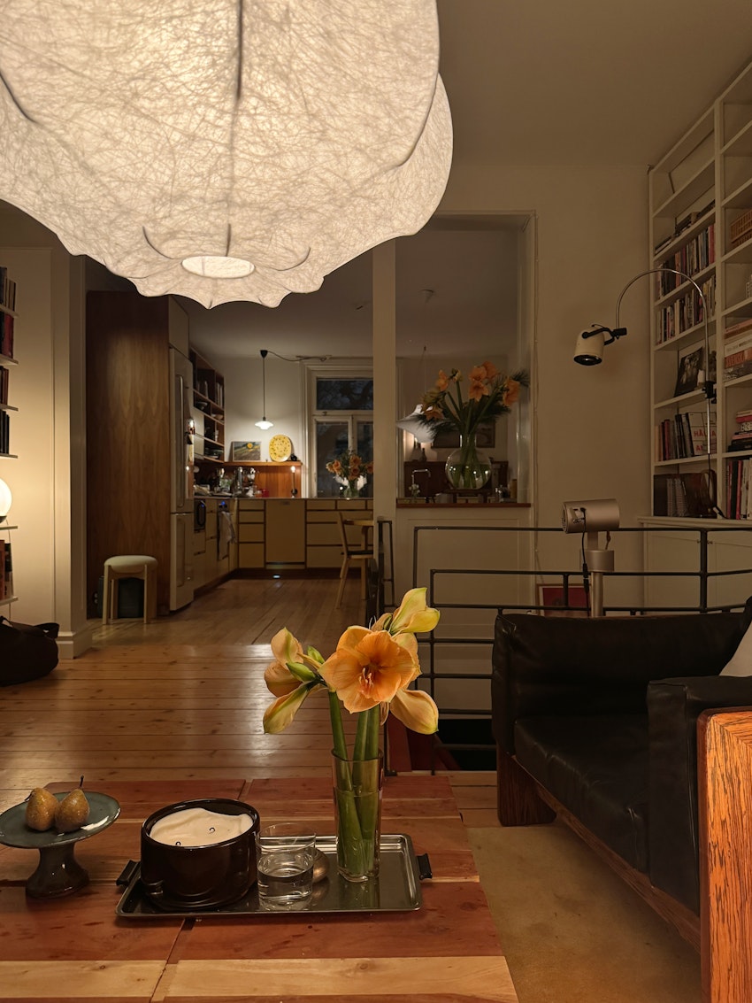 Vad gör man med en hel låda amaryllis, foto #9 av Flora Wiström