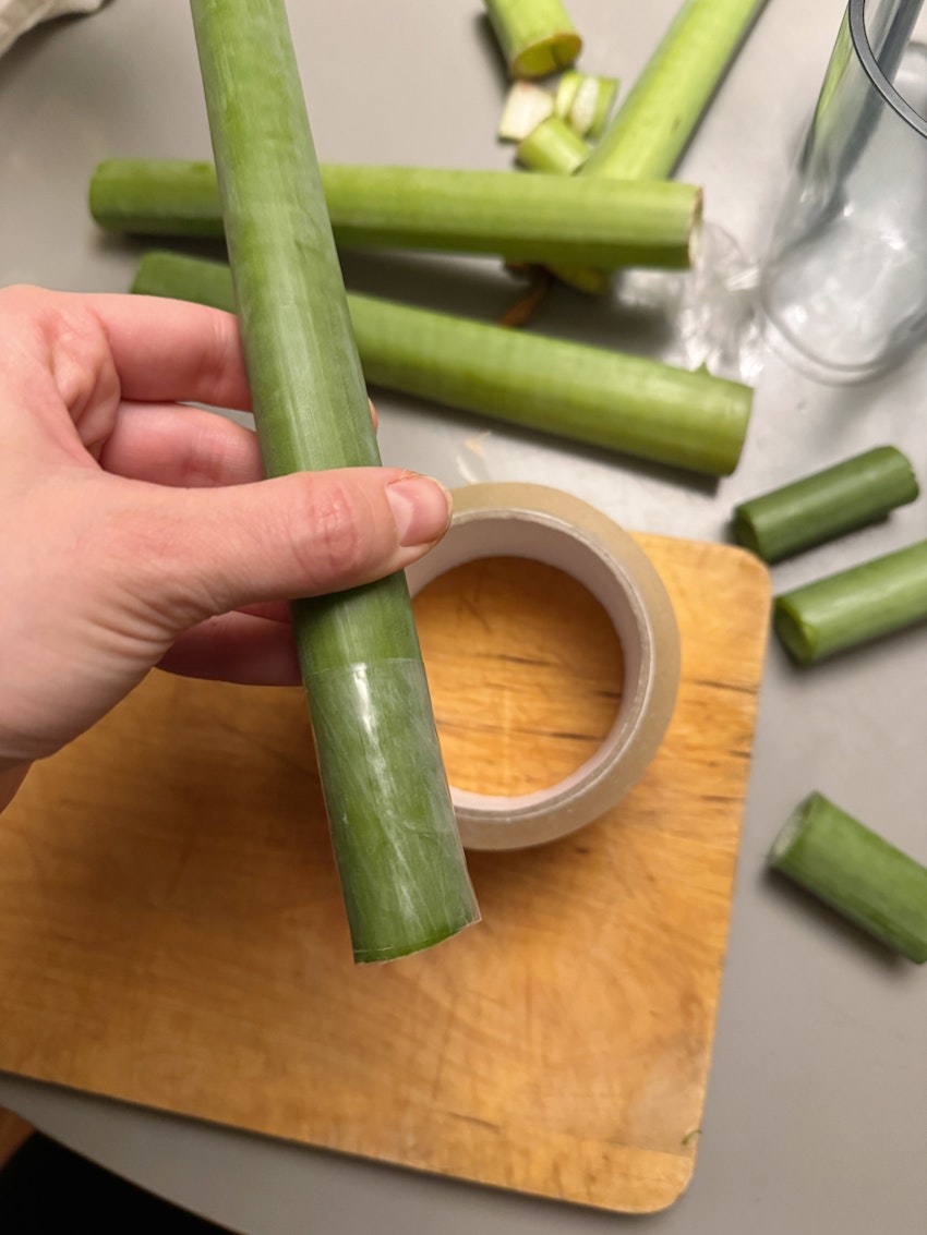 Vad gör man med en hel låda amaryllis, foto #4 av Flora Wiström