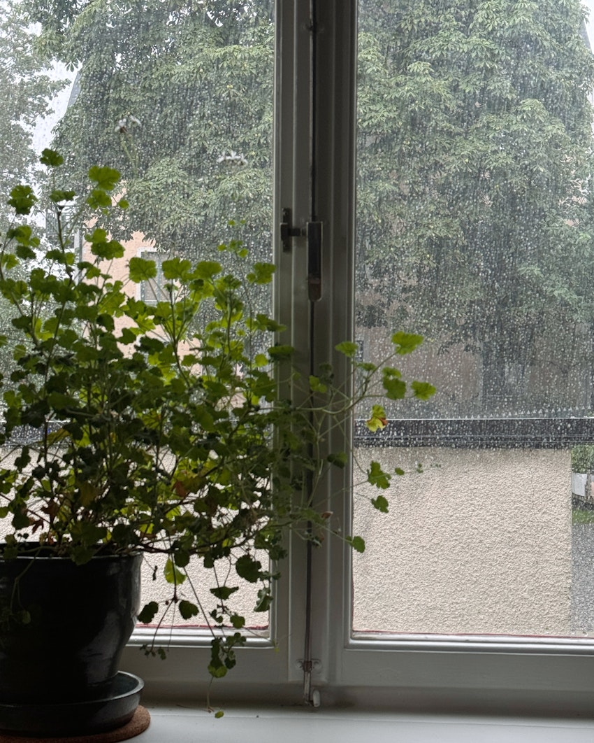 Graviddagbok: vecka 5 och 6, foto #4 av Flora Wiström