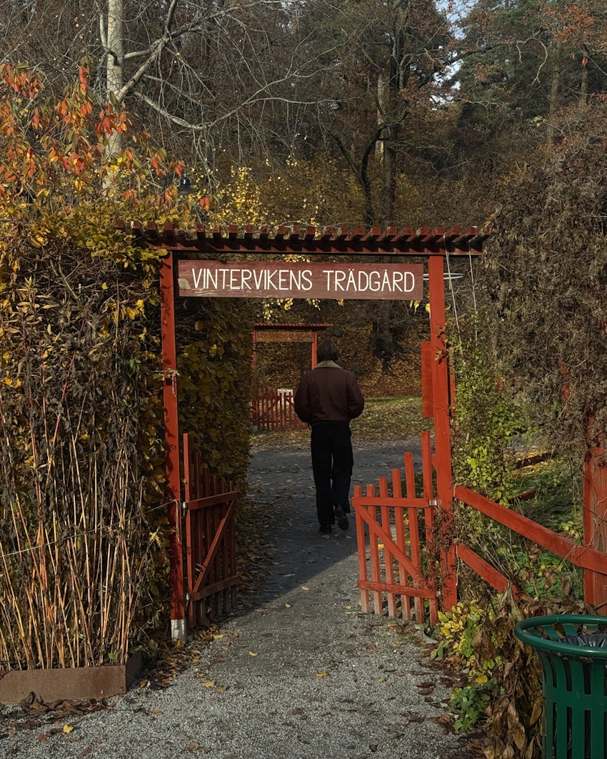 Första helgen i november, foto #2 av Flora Wiström