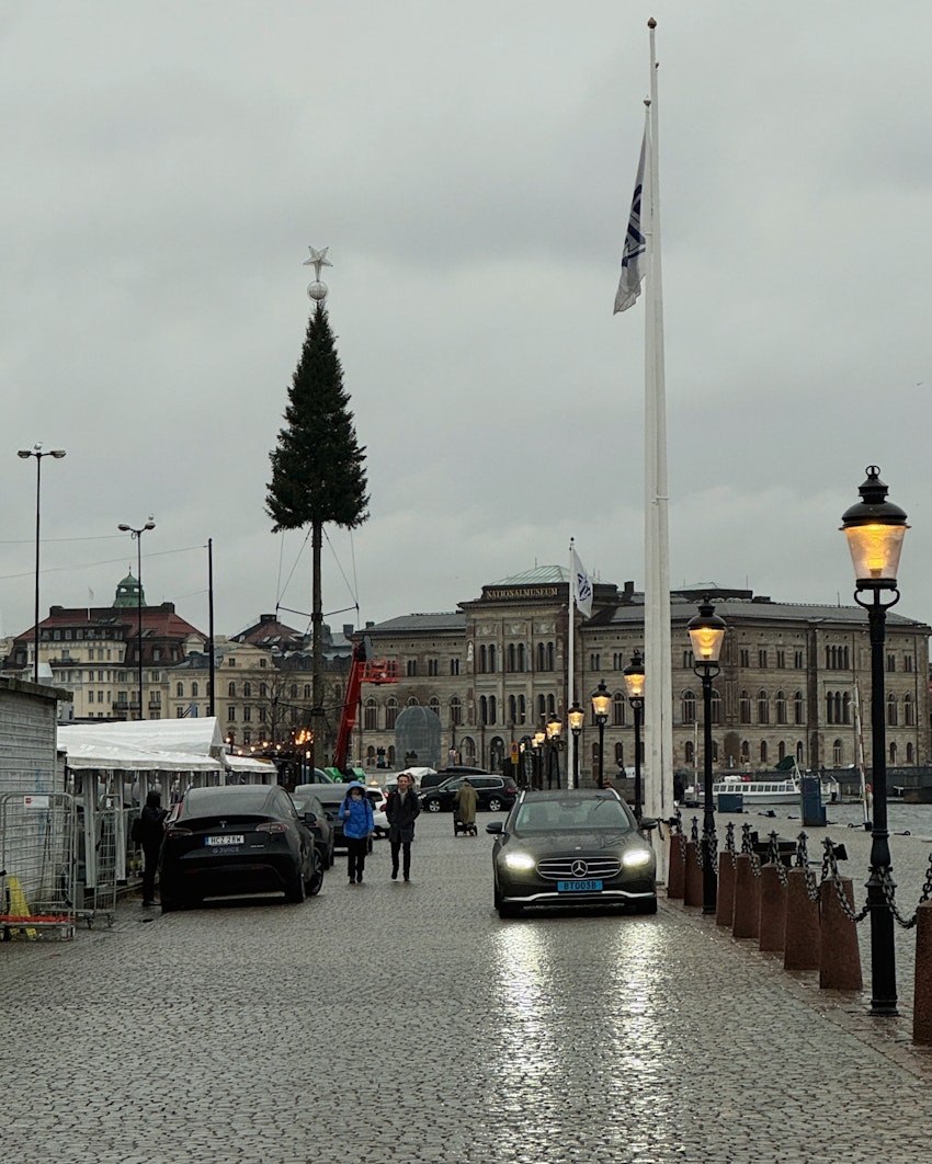 Dagar i novemberrusk, foto #10 av Flora Wiström
