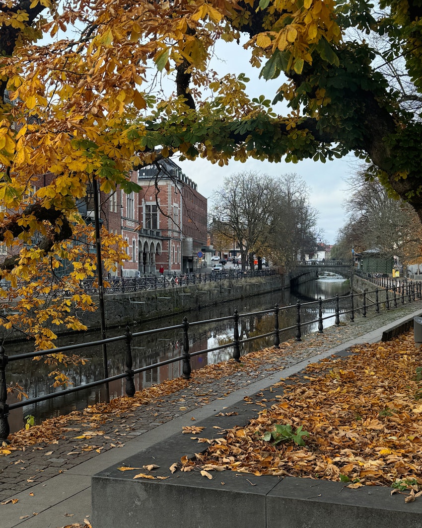 Dagar i novemberrusk, foto #4 av Flora Wiström