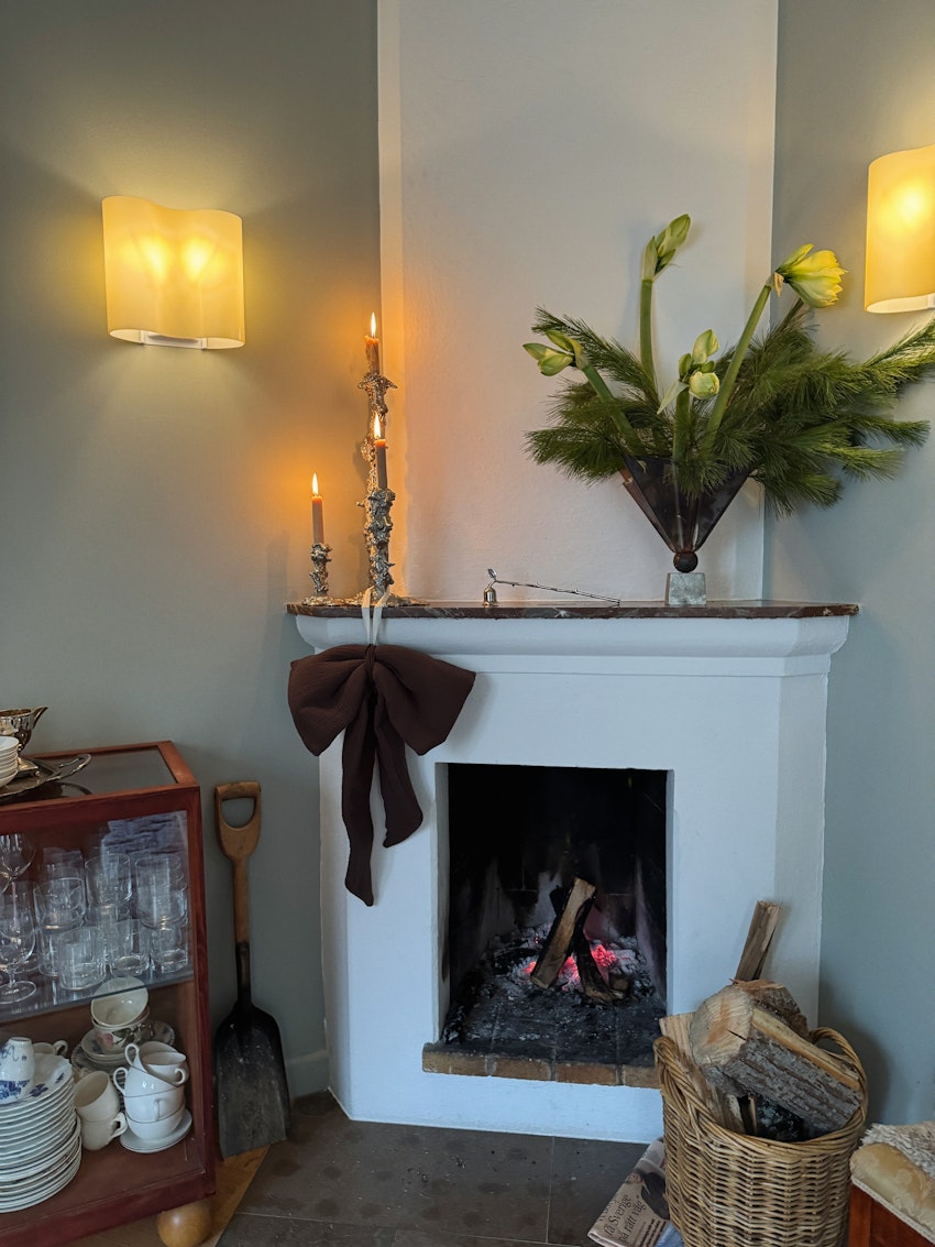 Vinterdagar och den vackraste blomman i city, foto #4 av Flora Wiström