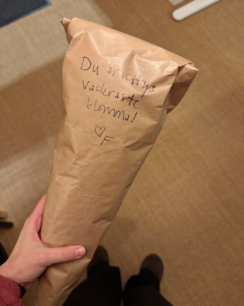 Vinterdagar och den vackraste blomman i city, foto #14 av Flora Wiström