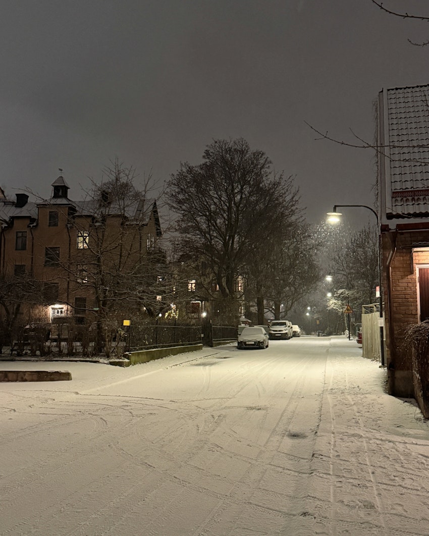 Vinterdagar och den vackraste blomman i city, foto #9 av Flora Wiström