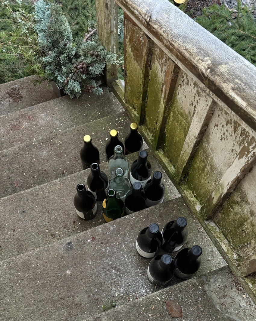 Vinterdagar och den vackraste blomman i city, foto #8 av Flora Wiström