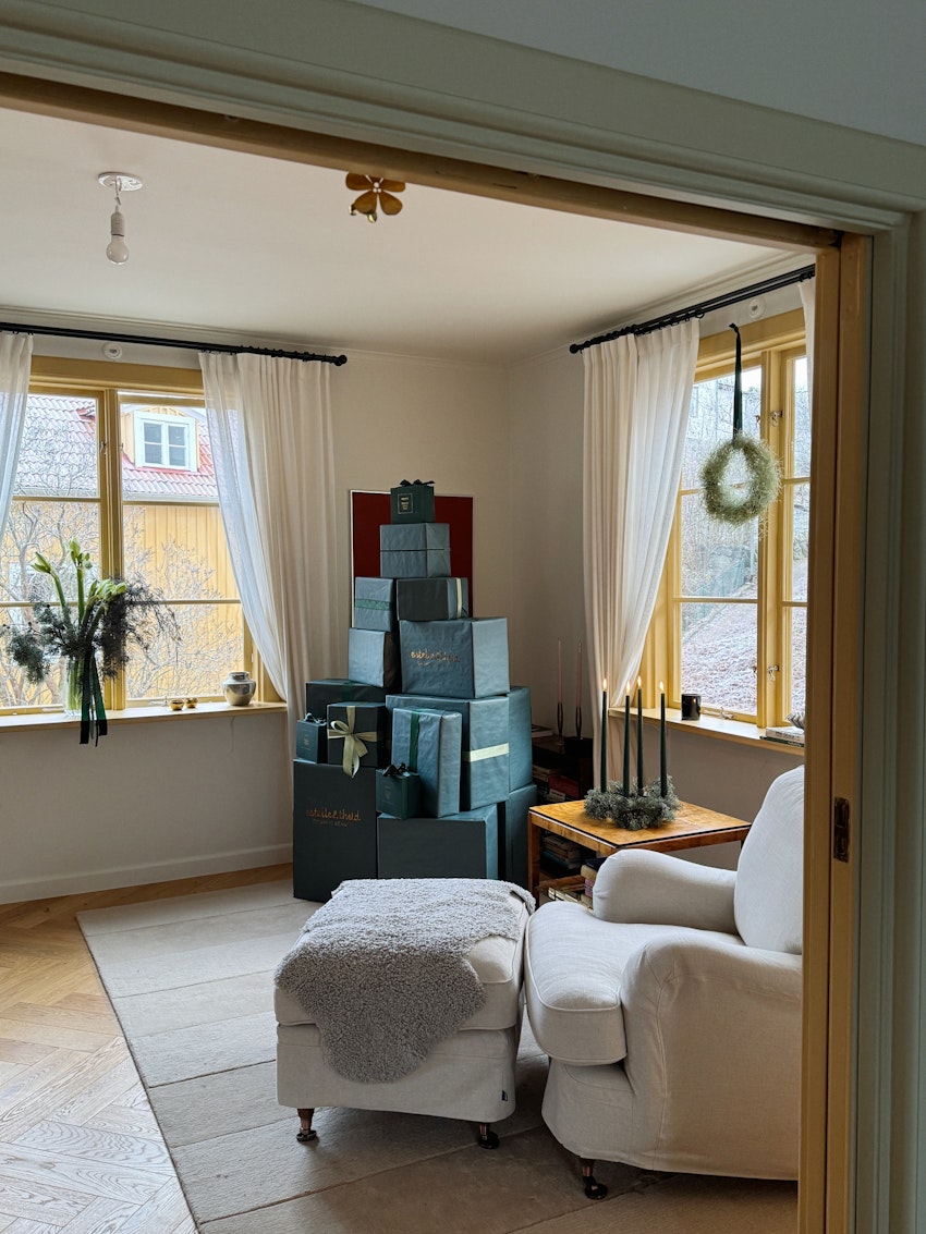 Vinterdagar och den vackraste blomman i city, foto #3 av Flora Wiström