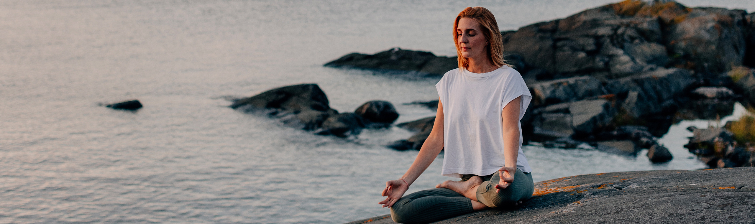 Sheila Arnells blogg