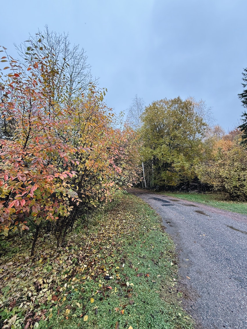 Helgen, foto #3 av Engla