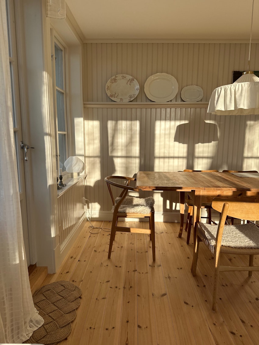 Solsken och matsalsväggarnas färg, foto #16 av Julia Khouri