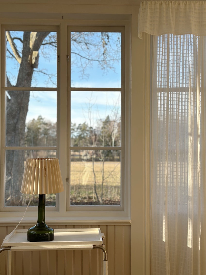 Solsken och matsalsväggarnas färg, foto #7 av Julia Khouri