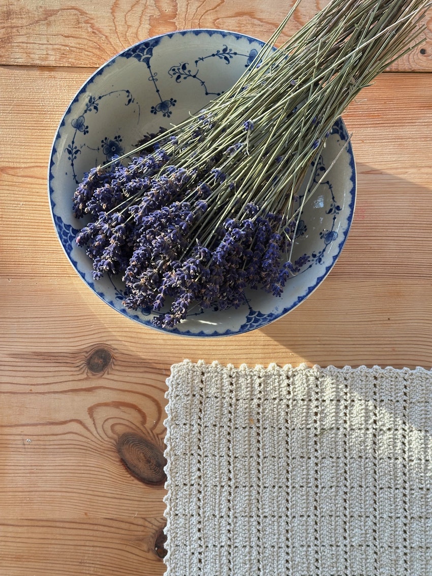 Snödroppar, renovering och ett loppisfynd, foto #8 av Julia Khouri