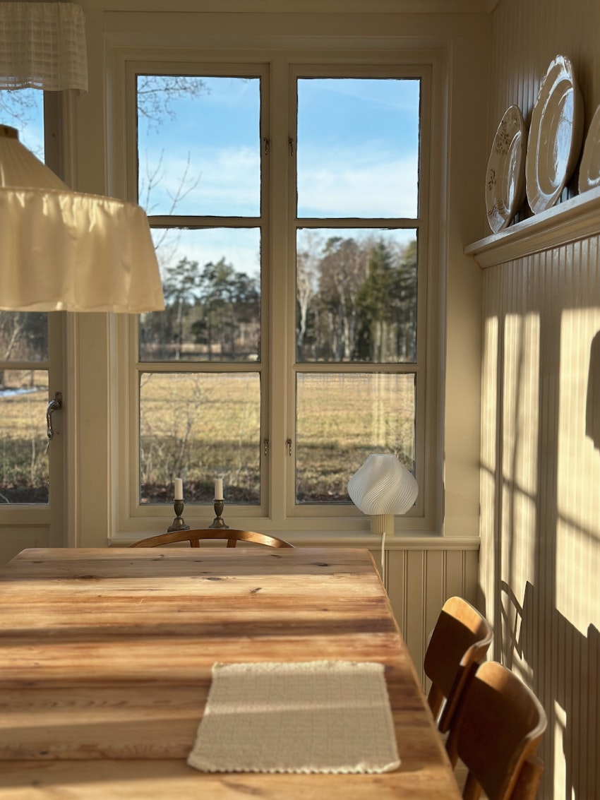 Solsken och matsalsväggarnas färg, foto #4 av Julia Khouri