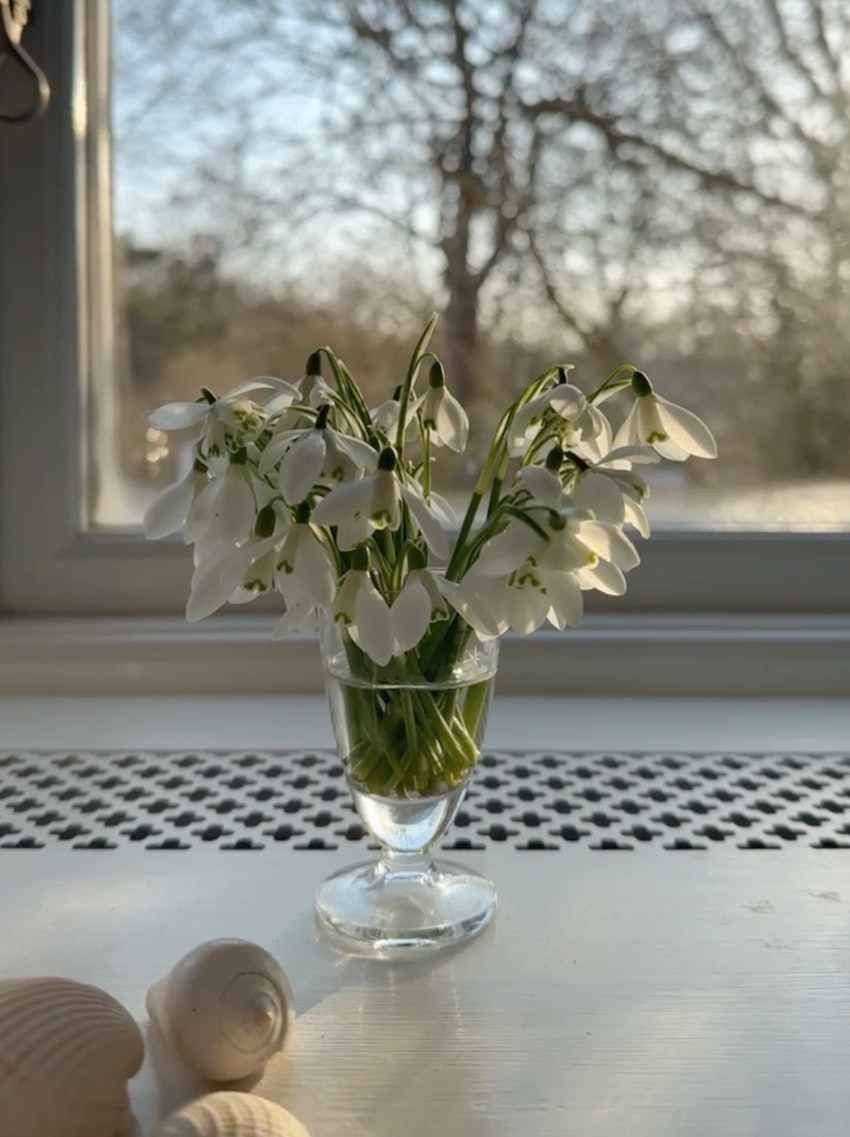 Måndagslistan, foto #11 av Julia Khouri