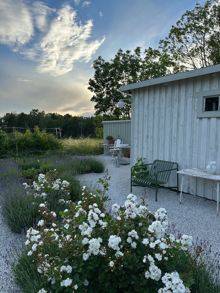 Det här ska jag odla, foto #4 av Julia Khouri