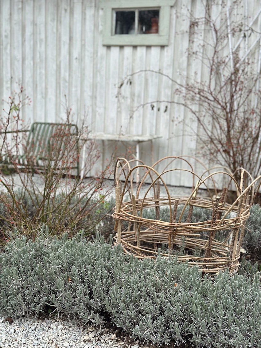 Katastroftankar, konst och en favoritfrukost, foto #8 av Julia Khouri