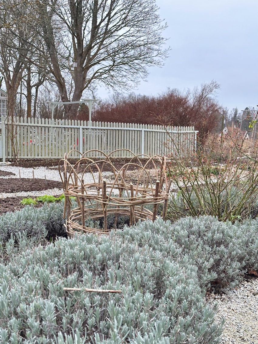 Katastroftankar, konst och en favoritfrukost, foto #7 av Julia Khouri