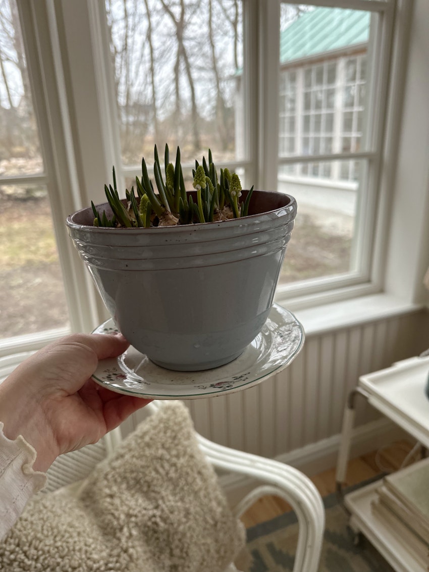 Katastroftankar, konst och en favoritfrukost, foto #4 av Julia Khouri