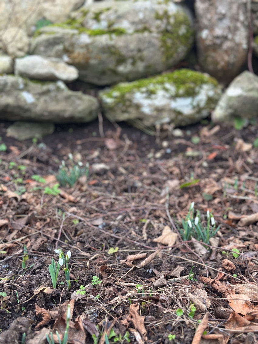 Katastroftankar, konst och en favoritfrukost, foto #14 av Julia Khouri