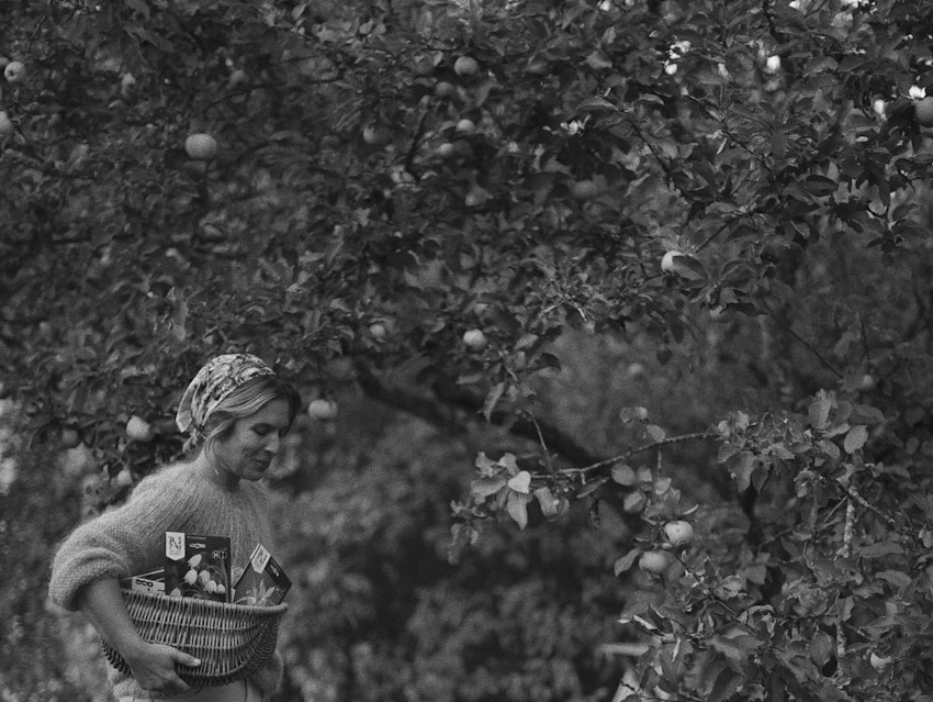 Vår trädgård - växthuset, skogsgläntan och terrassen, foto #1 av Julia Khouri