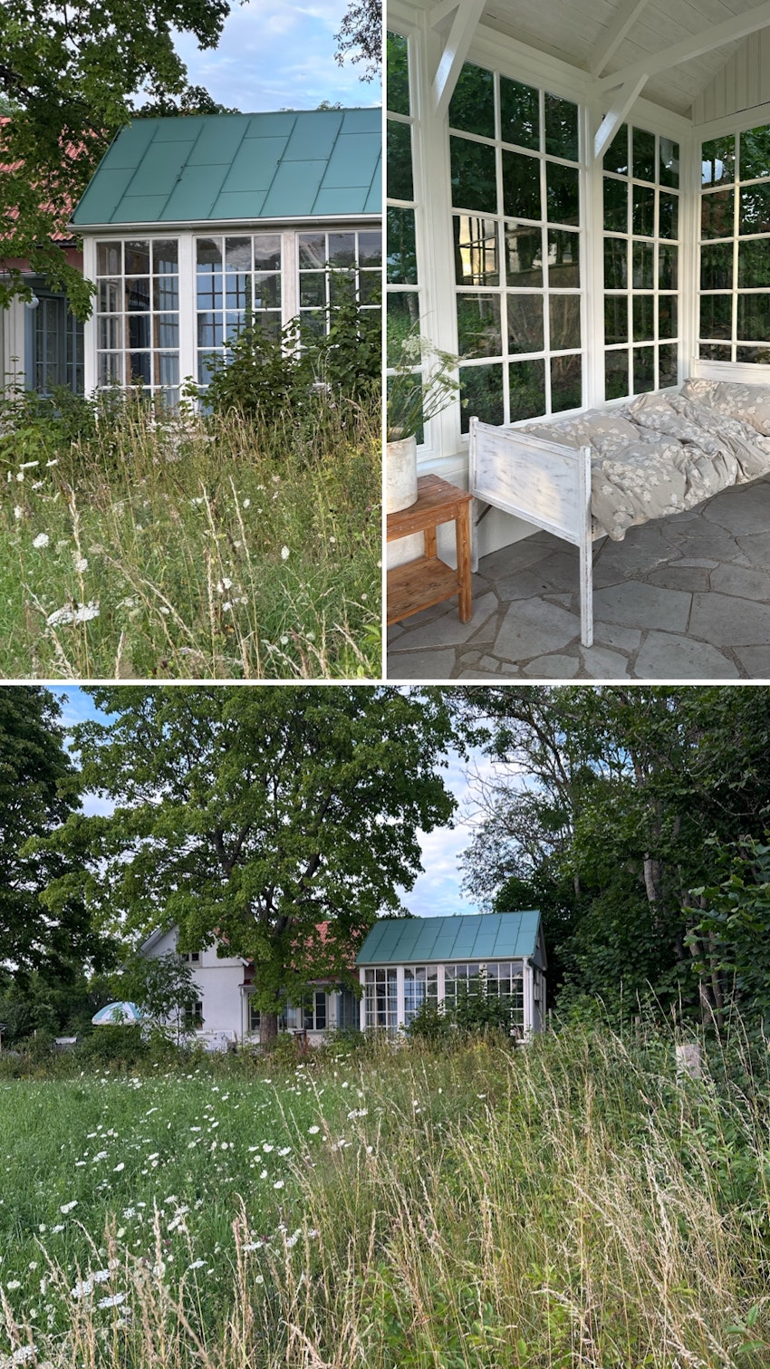 Vår trädgård - växthuset, skogsgläntan och terrassen, foto #9 av Julia Khouri