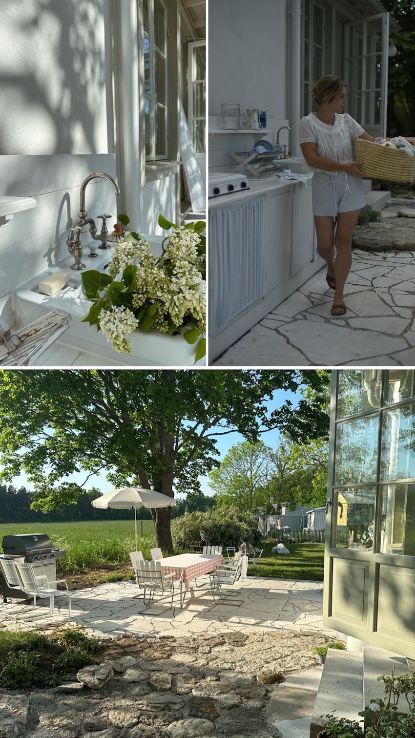 Vår trädgård - växthuset, skogsgläntan och terrassen, foto #14 av Julia Khouri