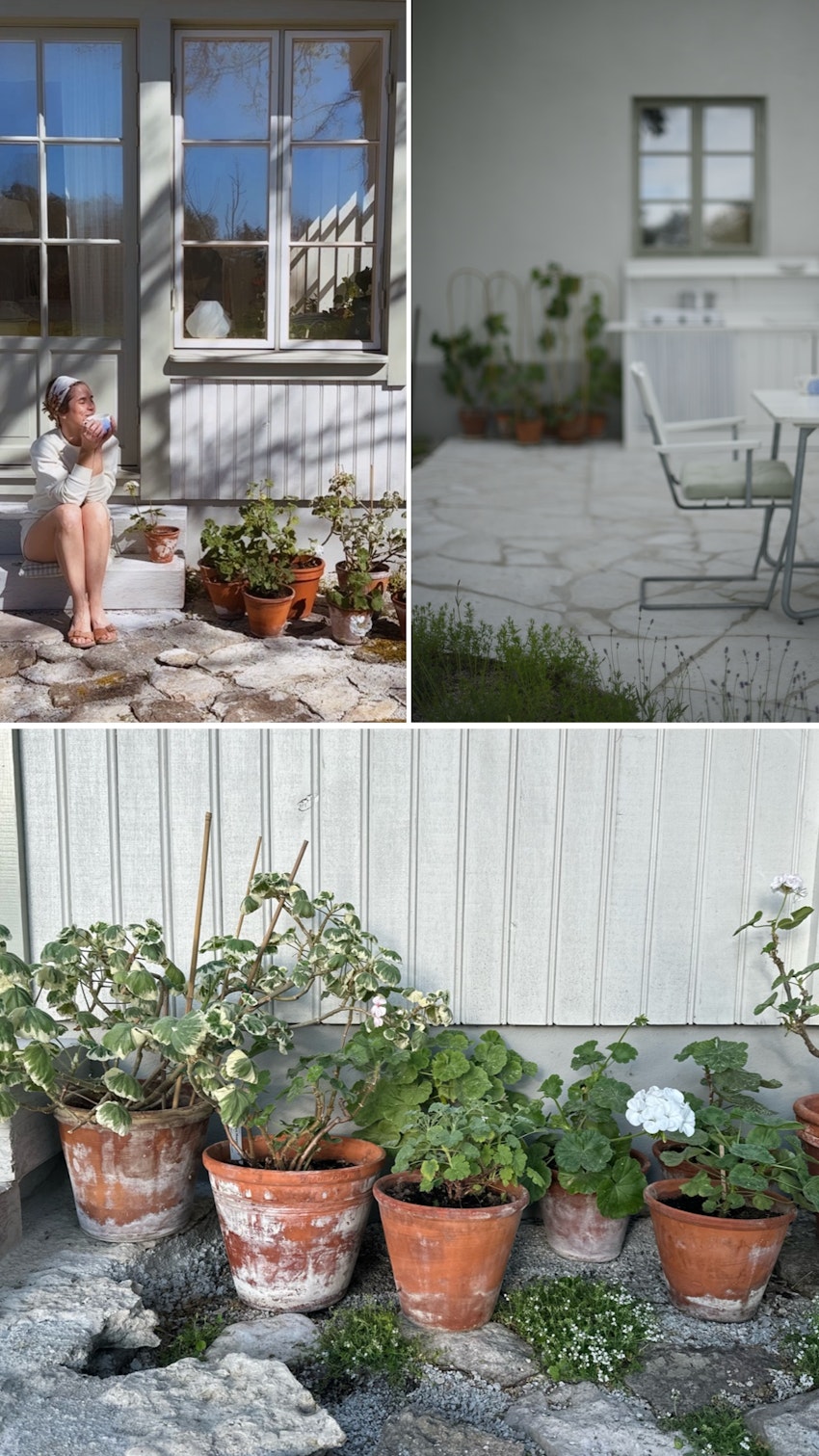 Vår trädgård - växthuset, skogsgläntan och terrassen, foto #18 av Julia Khouri