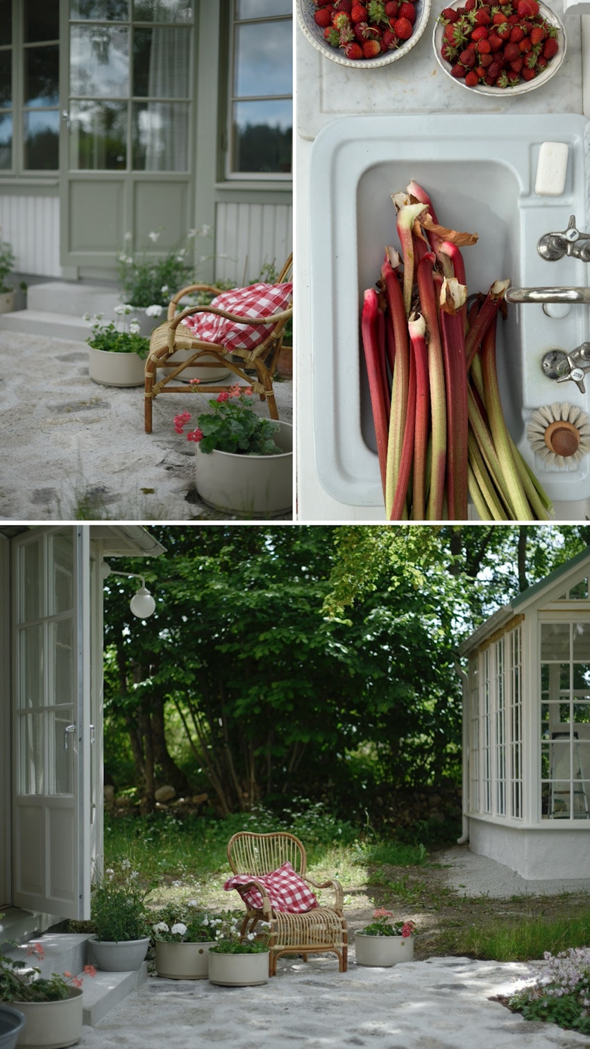 Vår trädgård - växthuset, skogsgläntan och terrassen, foto #17 av Julia Khouri