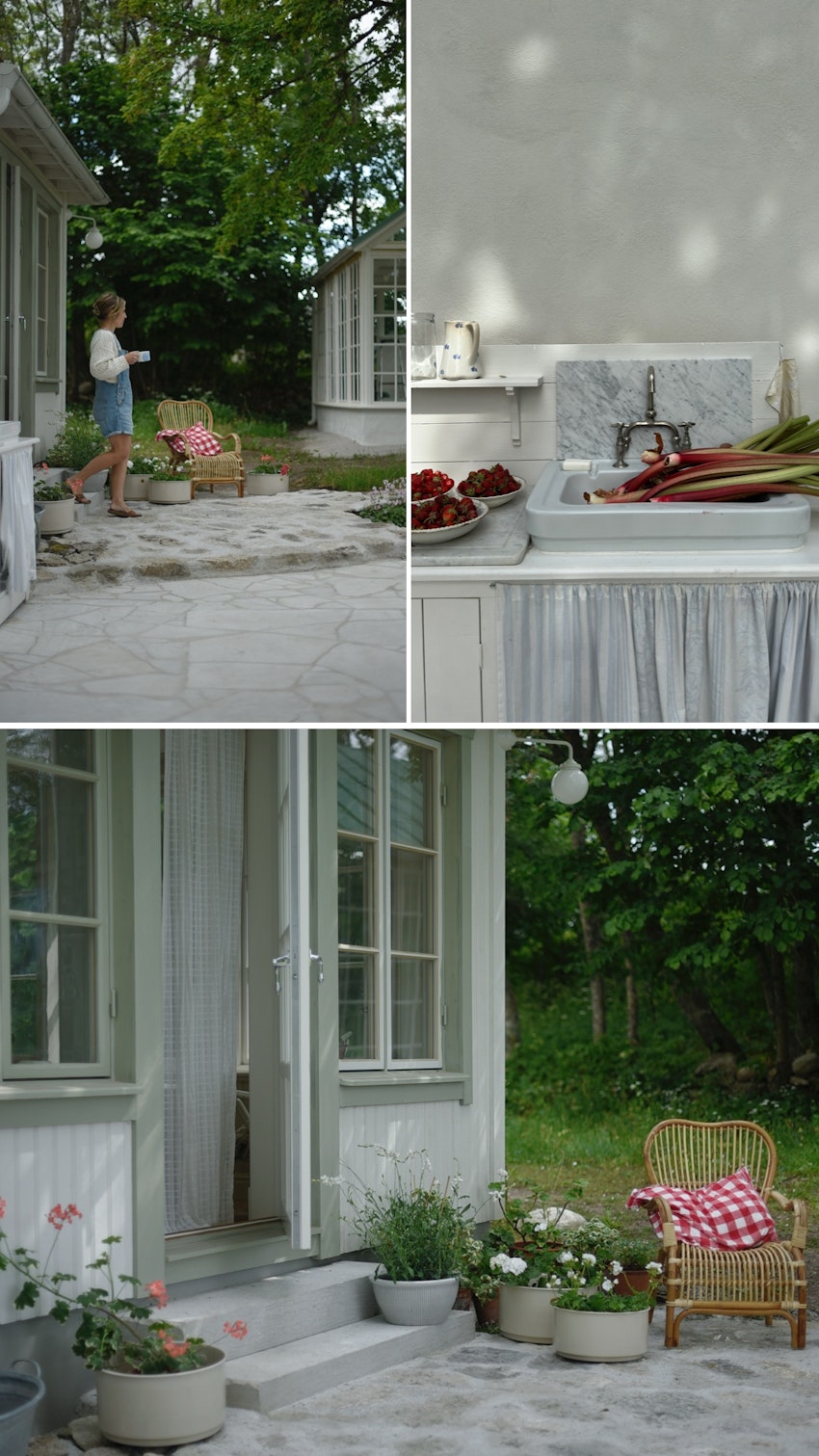 Vår trädgård - växthuset, skogsgläntan och terrassen, foto #16 av Julia Khouri