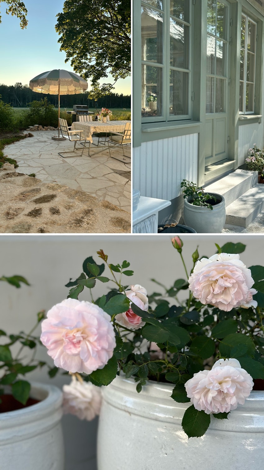 Vår trädgård - växthuset, skogsgläntan och terrassen, foto #19 av Julia Khouri