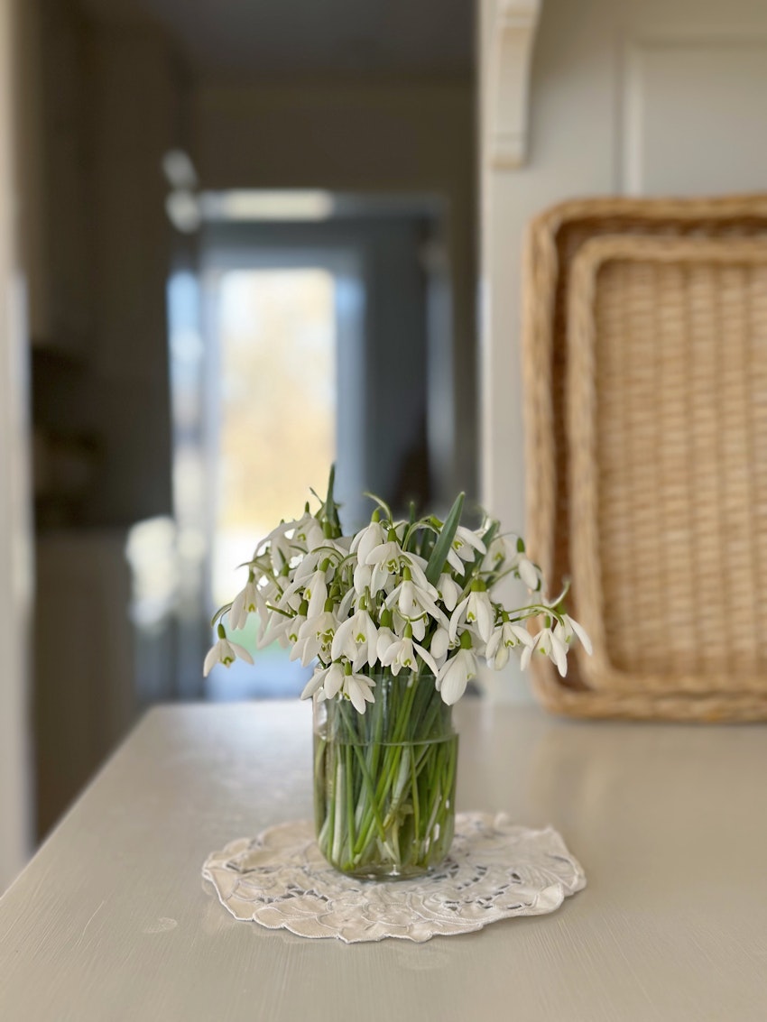 Jag bloggar varje dag, foto #5 av Julia Khouri